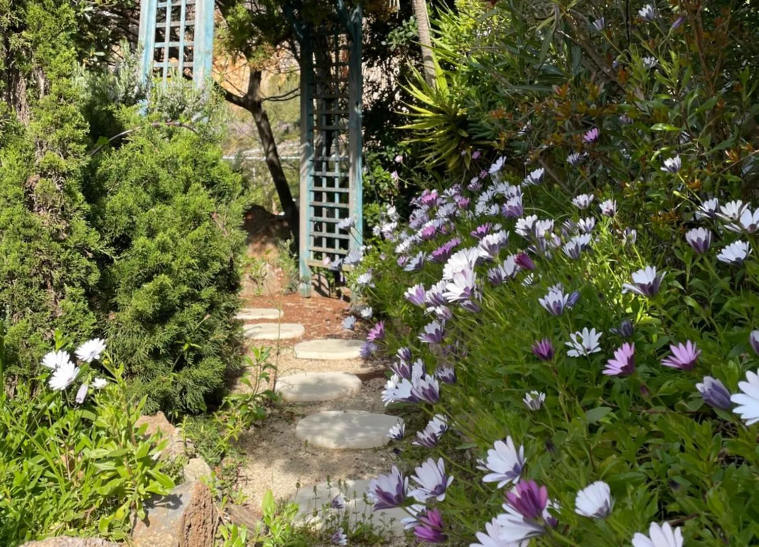 Belle Villa Provencale Avec Piscine Privee Carqueiranne