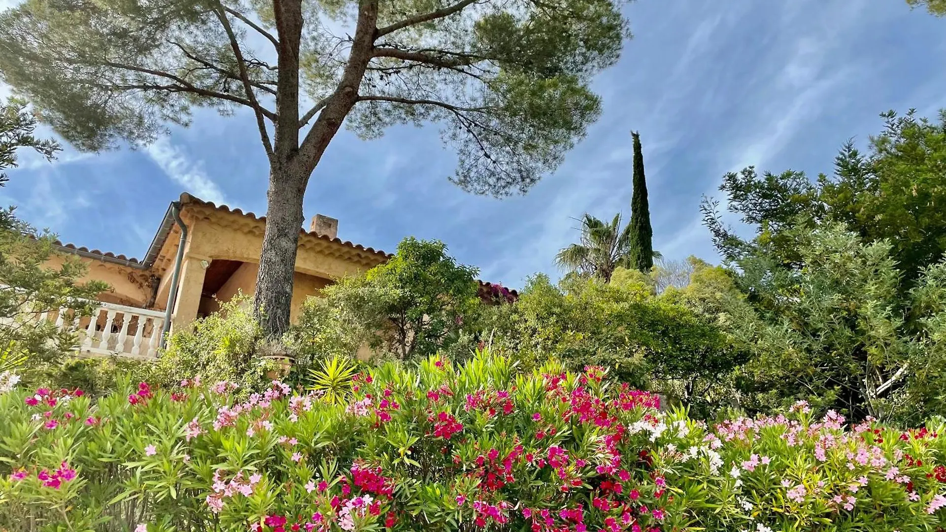 Belle Villa Provencale Avec Piscine Privee Carqueiranne