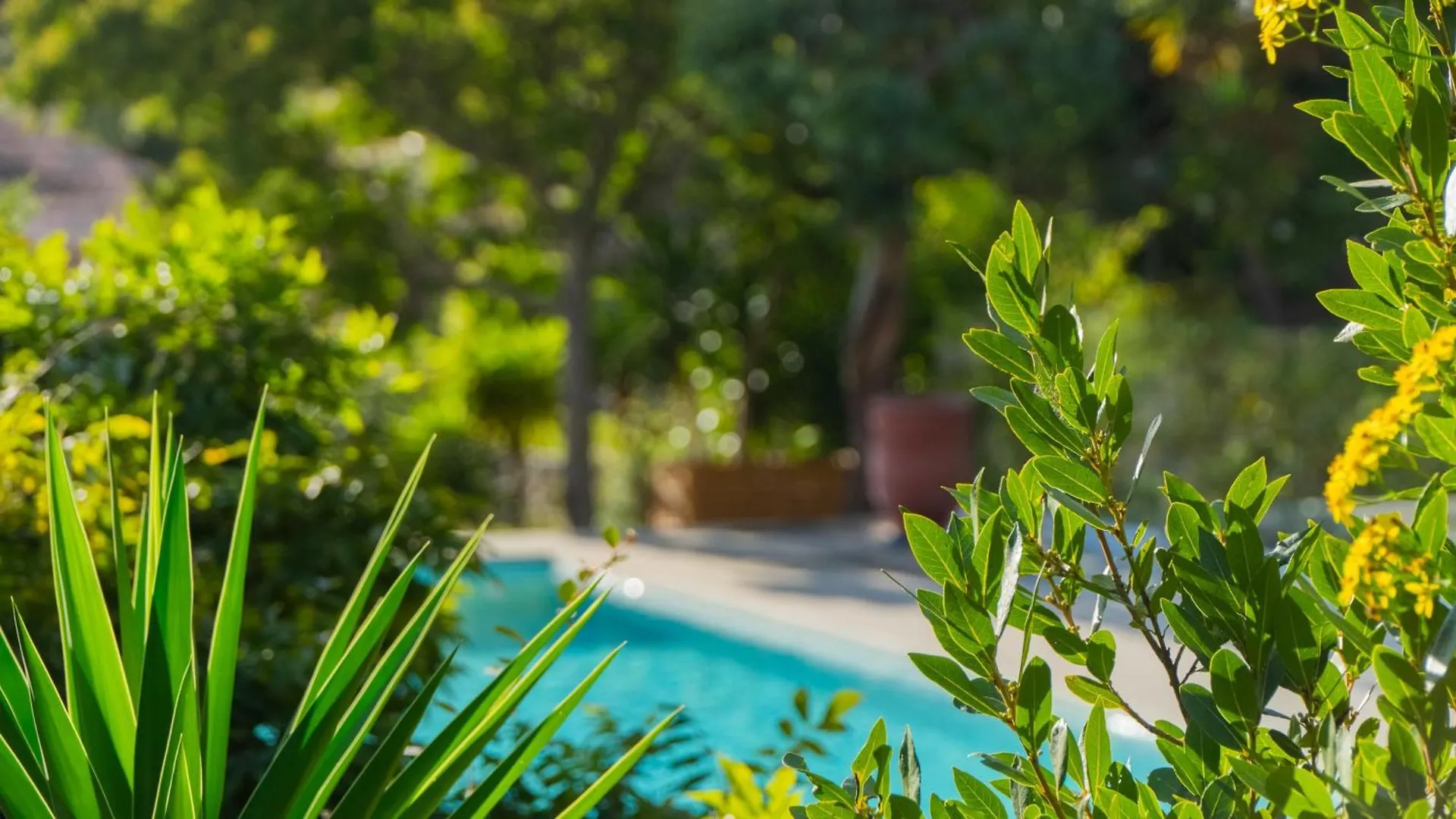 Belle Villa Provencale Avec Piscine Privee Carqueiranne